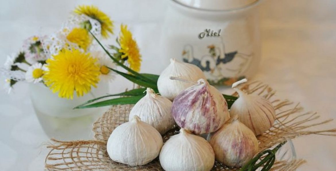 Ajo una especie milagrosa para la salud