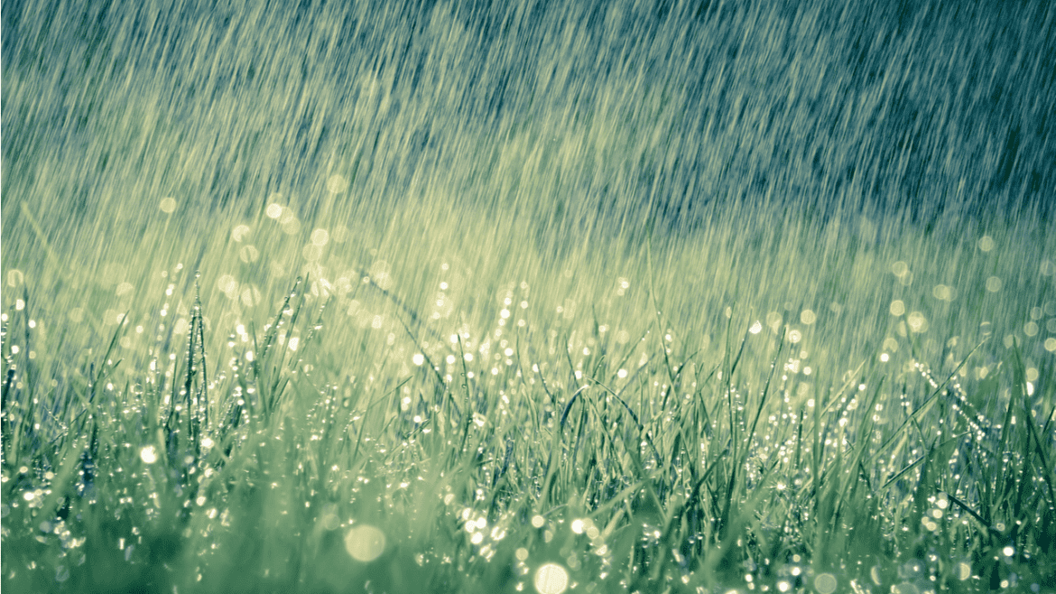 Atrapada en el hechizo de la lluvia