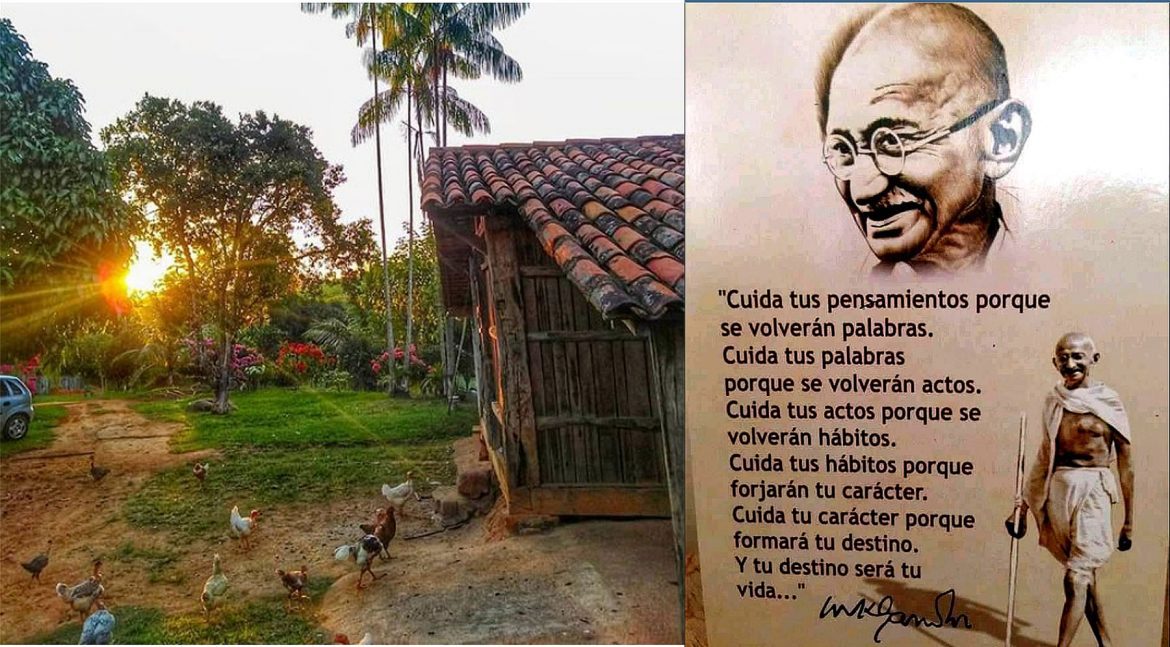 7 palabras que deberías evitar decir