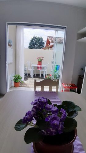Cómo decorar con plantas y flores