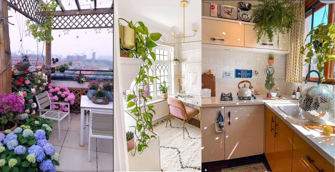 Cómo decorar con plantas y flores