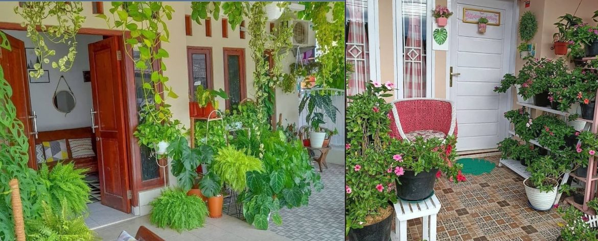Plantas que eliminan la humedad de la casa