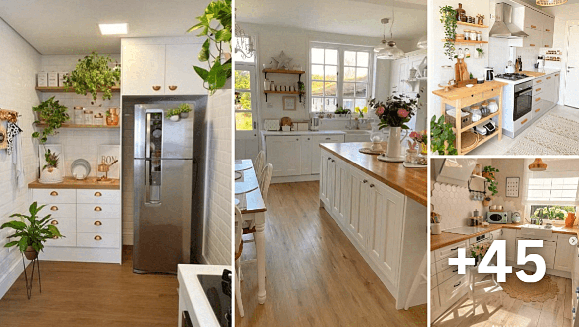 50 cocinas ordenadas y la limpieza de placas vitrocerámica fogón y extractor