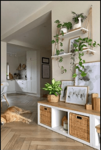 10 simple ideas to bring life to the entrance of your house