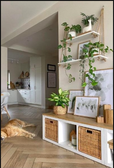 10 ideas sencillas para darle vida a la entrada de tu casa - Blog de Mary
