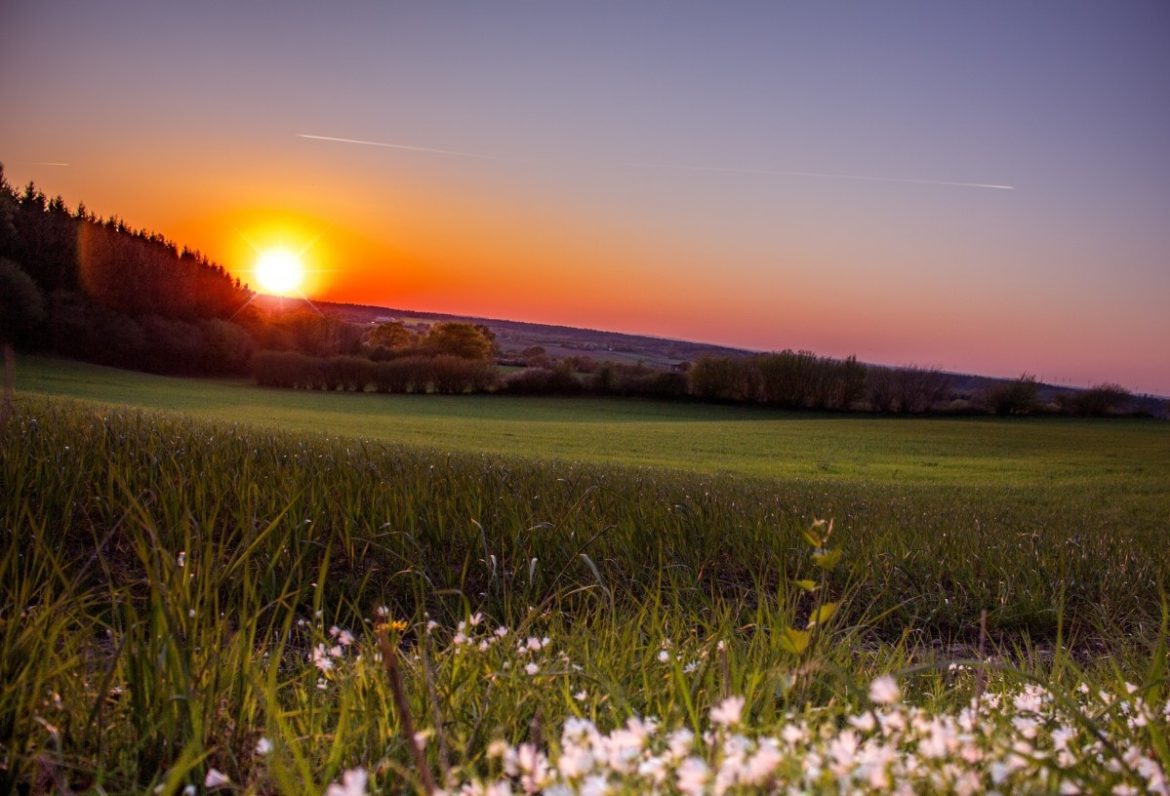 Ocaso