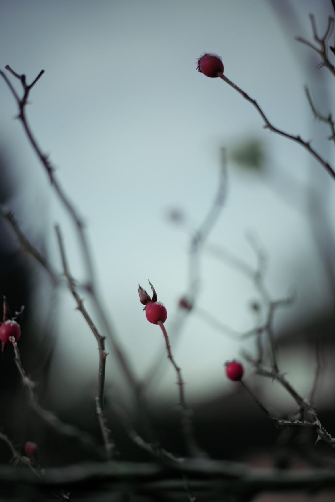 La cara de la tristeza